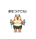 夏の太っちょ柴犬（個別スタンプ：3）