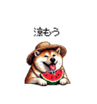夏の太っちょ柴犬（個別スタンプ：9）