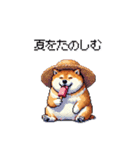 夏の太っちょ柴犬（個別スタンプ：12）