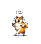 夏の太っちょ柴犬（個別スタンプ：13）