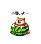 夏の太っちょ柴犬（個別スタンプ：14）