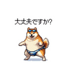 夏の太っちょ柴犬（個別スタンプ：17）