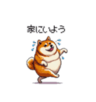 夏の太っちょ柴犬（個別スタンプ：18）