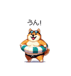 夏の太っちょ柴犬（個別スタンプ：22）