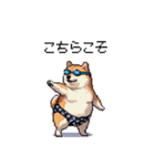 夏の太っちょ柴犬（個別スタンプ：23）