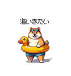 夏の太っちょ柴犬（個別スタンプ：26）