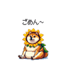 夏の太っちょ柴犬（個別スタンプ：27）