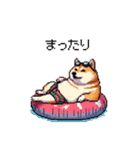 夏の太っちょ柴犬（個別スタンプ：29）