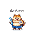 夏の太っちょ柴犬（個別スタンプ：32）