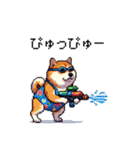 夏の太っちょ柴犬（個別スタンプ：35）