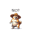 夏の太っちょ柴犬（個別スタンプ：38）