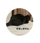 かわいいこーたくんⅩ（個別スタンプ：5）
