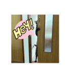 かわいいこーたくんⅩ（個別スタンプ：6）
