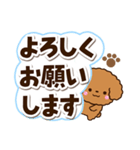 トイプードル【レッド】太字（個別スタンプ：2）