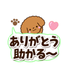 トイプードル【レッド】太字（個別スタンプ：7）