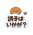 トイプードル【レッド】太字（個別スタンプ：8）