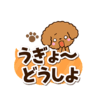 トイプードル【レッド】太字（個別スタンプ：12）