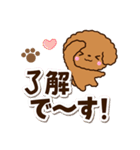 トイプードル【レッド】太字（個別スタンプ：13）