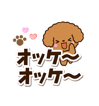 トイプードル【レッド】太字（個別スタンプ：14）