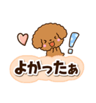 トイプードル【レッド】太字（個別スタンプ：18）