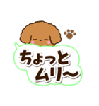 トイプードル【レッド】太字（個別スタンプ：19）