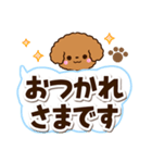 トイプードル【レッド】太字（個別スタンプ：24）