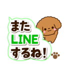 トイプードル【レッド】太字（個別スタンプ：25）