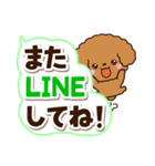 トイプードル【レッド】太字（個別スタンプ：26）