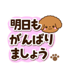 トイプードル【レッド】太字（個別スタンプ：27）