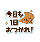 トイプードル【レッド】太字（個別スタンプ：29）