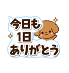 トイプードル【レッド】太字（個別スタンプ：30）