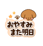 トイプードル【レッド】太字（個別スタンプ：31）