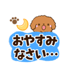 トイプードル【レッド】太字（個別スタンプ：32）
