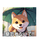 夏の天気をお知らせする柴犬【便利・日常】（個別スタンプ：2）