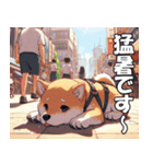 夏の天気をお知らせする柴犬【便利・日常】（個別スタンプ：4）
