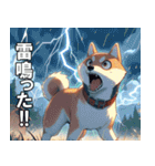 夏の天気をお知らせする柴犬【便利・日常】（個別スタンプ：6）