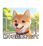 夏の天気をお知らせする柴犬【便利・日常】（個別スタンプ：7）