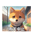 夏の天気をお知らせする柴犬【便利・日常】（個別スタンプ：10）