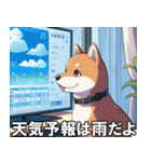 夏の天気をお知らせする柴犬【便利・日常】（個別スタンプ：11）
