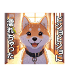 夏の天気をお知らせする柴犬【便利・日常】（個別スタンプ：12）