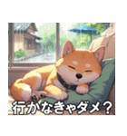 夏の天気をお知らせする柴犬【便利・日常】（個別スタンプ：13）