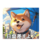 夏の天気をお知らせする柴犬【便利・日常】（個別スタンプ：16）