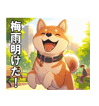 夏の天気をお知らせする柴犬【便利・日常】（個別スタンプ：21）