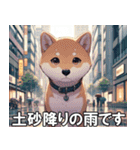 夏の天気をお知らせする柴犬【便利・日常】（個別スタンプ：22）