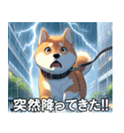 夏の天気をお知らせする柴犬【便利・日常】（個別スタンプ：26）