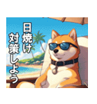 夏の天気をお知らせする柴犬【便利・日常】（個別スタンプ：29）