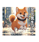 夏の天気をお知らせする柴犬【便利・日常】（個別スタンプ：30）