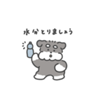 シュナウザースタンプ(夏・敬語)（個別スタンプ：2）