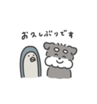 シュナウザースタンプ(夏・敬語)（個別スタンプ：15）