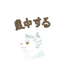 刀剣乱舞ONLINEお供スタンプ2（個別スタンプ：35）
